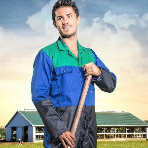 Havep Basic-Kollektion