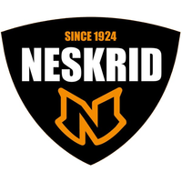Neskrid-Einlegesohlen