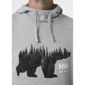 helly-hansen-graphic-hoodie-79264-lichtgrijs