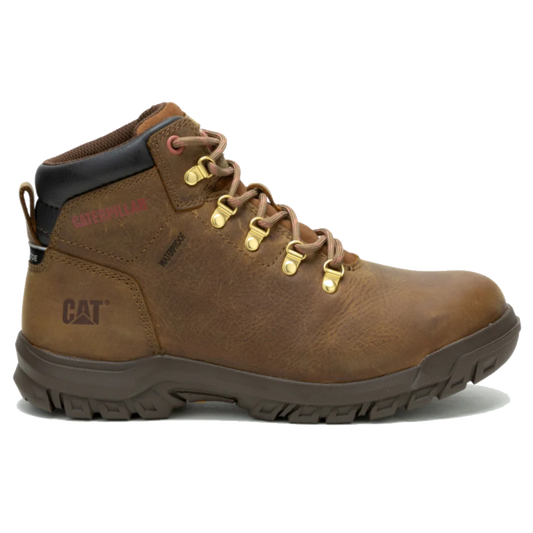 cat-mae-p725778-s3-bruin