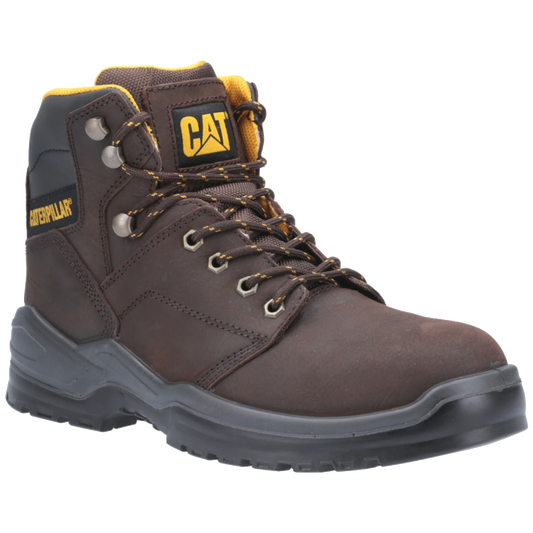 cat-striver-p724859-s3-bruin