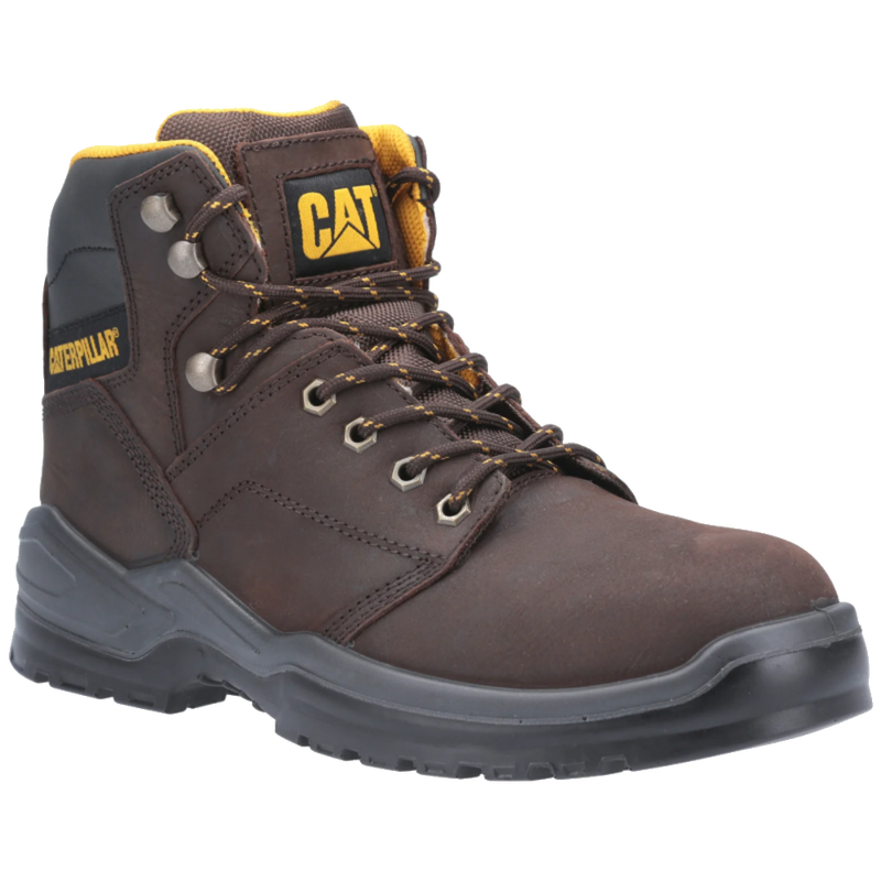 cat-striver-p724859-s3-bruin