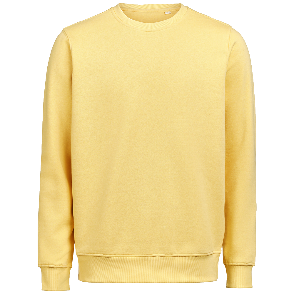 untagged-movement-crewneck-ocs-rcs-regular-fit-3430010-ray