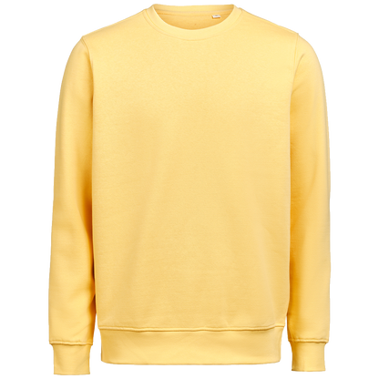 untagged-movement-crewneck-ocs-rcs-regular-fit-3430010-ray