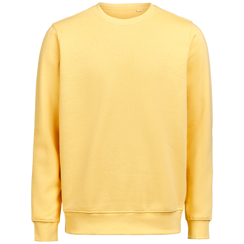 untagged-movement-crewneck-ocs-rcs-regular-fit-3430010-ray