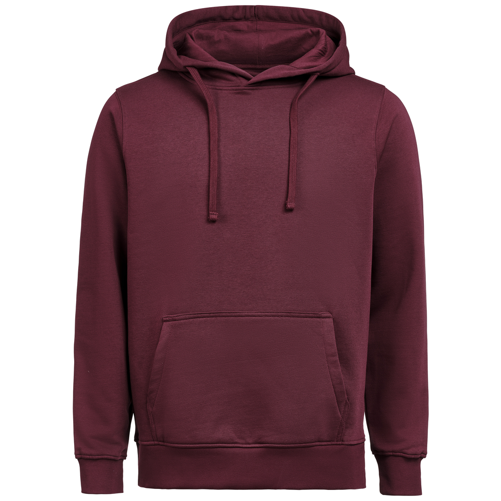untagged-movement-hoodie-ocs-rcs-regular-fit-3440010-prune-pruim