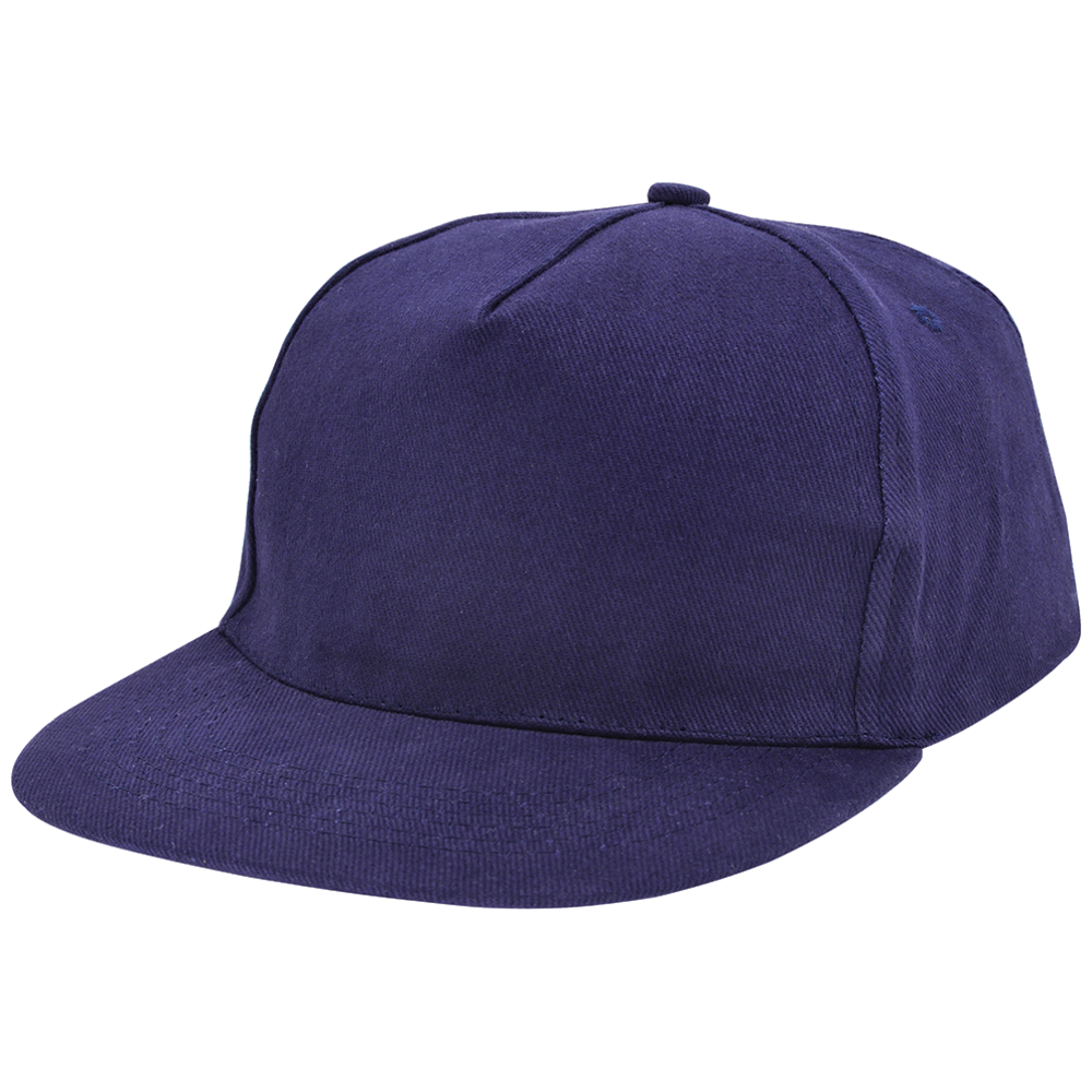 Nilton Brushed honkbal cap 1756