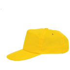 Nilton Promo cap 2110