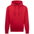 BackToBasics B2B Hooded band sweater Oliver
