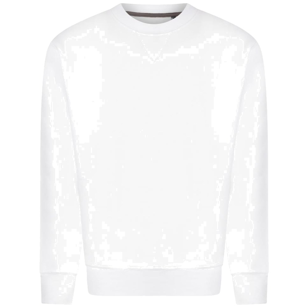 BackToBasics B2B Roundneck sweater Nick