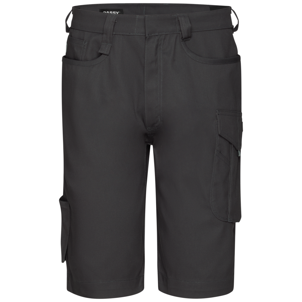 Dassy Icons Botta Werkshort 250116