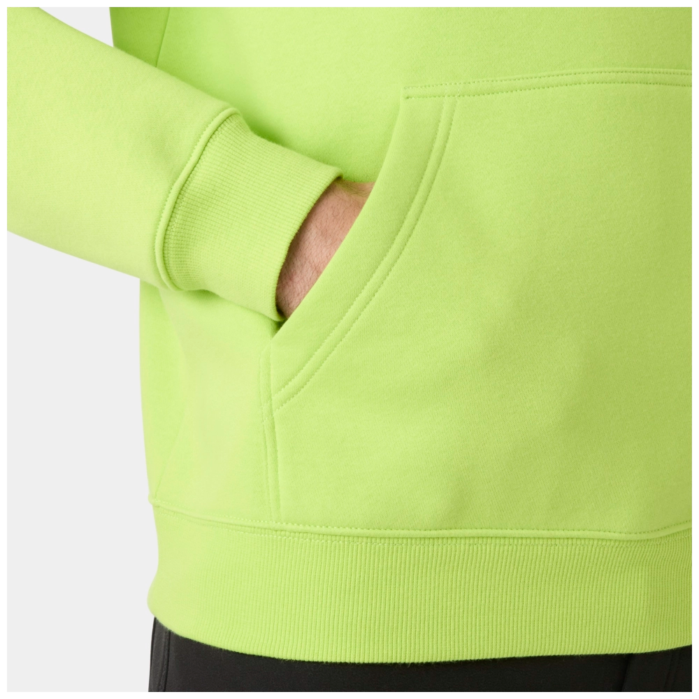 Helly Hansen Classic Logo 2.0 Hoodie 79307
