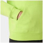 Helly Hansen Classic Logo 2.0 Hoodie 79307