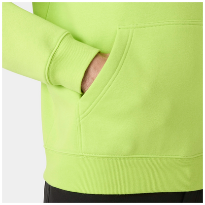 Helly Hansen Classic Logo 2.0 Hoodie 79307