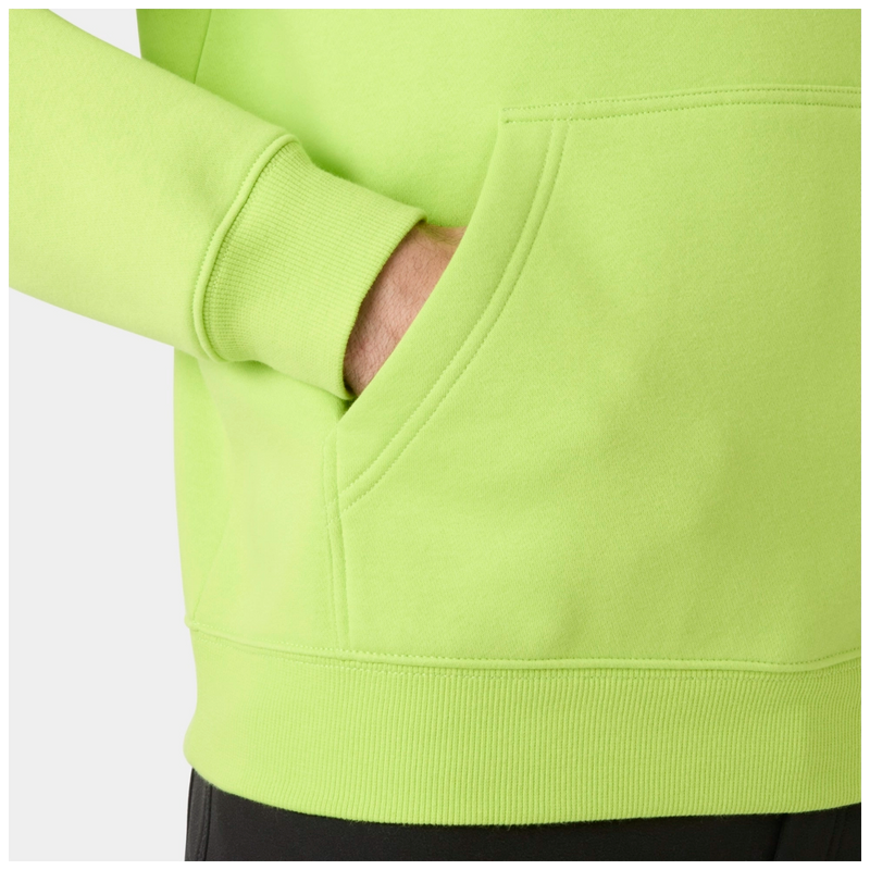 Helly Hansen Classic Logo 2.0 Hoodie 79307