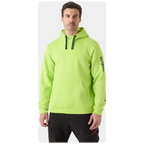 Helly Hansen Classic Logo 2.0 Hoodie 79307