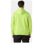 Helly Hansen Classic Logo 2.0 Hoodie 79307