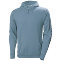 Helly Hansen Classic Logo 2.0 Hoodie 79307
