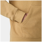 Helly Hansen Classic Logo 2.0 Zip Hoodie 79311