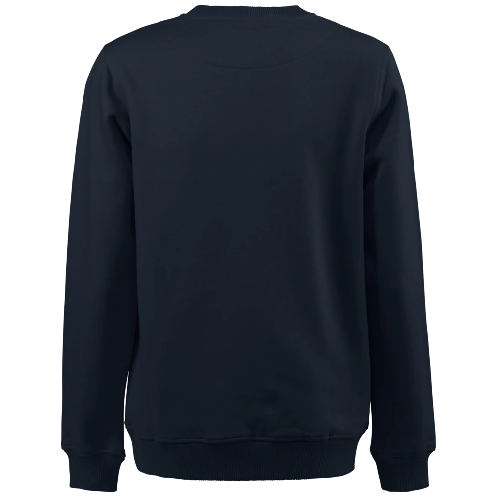 pt2048_printer-essentials-softball-rsx-sweater-unisex-22620482262048-616-softball-rsx-back