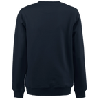 pt2048_printer-essentials-softball-rsx-sweater-unisex-22620482262048-616-softball-rsx-back