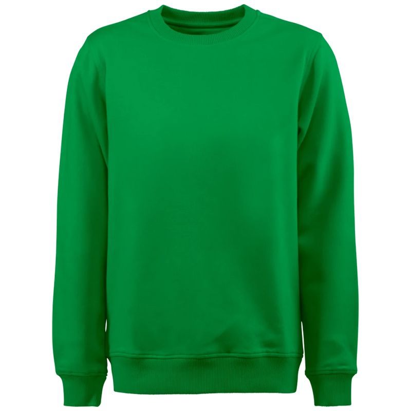 pt2048-728_printer-essentials-softball-rsx-sweater-unisex-2262048-frisgroen-softball-rsx-front