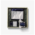 j920600_james-harvest-frost-solid-scarf-with-giftbox-sjaal-dames-29206002920600-2910400-2920500-scarf-tie-handkerchief-brooch-box-blue-2000px