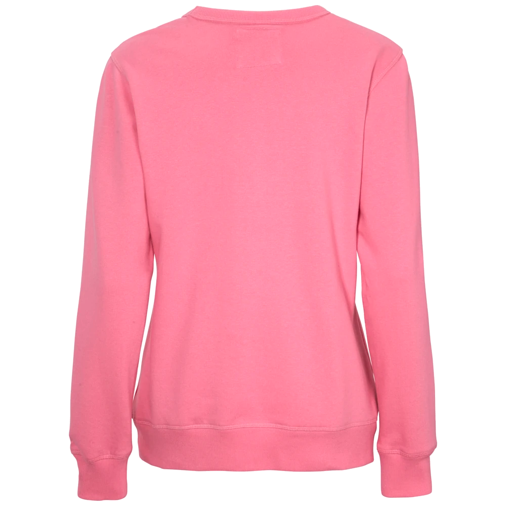 ct1004_cottover-sweater-crewneck-dames-gots-gecertificeerd-141004141004-425-crew-neck-lady-pink-back