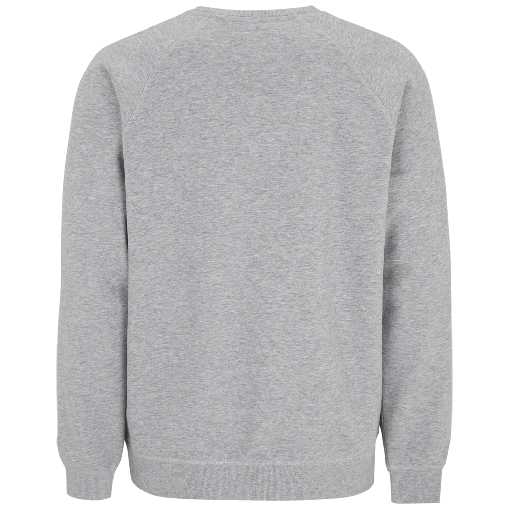 ct1504_cottover-french-terry-crewneck-man-141504141504-955-terry-crew-grey-back
