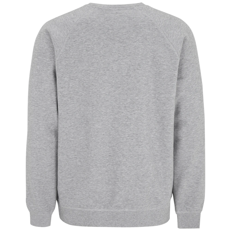 ct1504_cottover-french-terry-crewneck-man-141504141504-955-terry-crew-grey-back