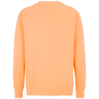 ct1203_cottover-key-crewneck-unisex-sweatshirt-141203141203-275-key-crew-peach-back