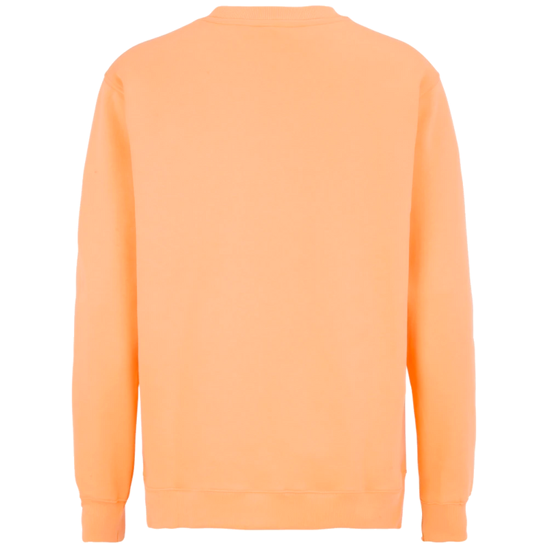 ct1203_cottover-key-crewneck-unisex-sweatshirt-141203141203-275-key-crew-peach-back