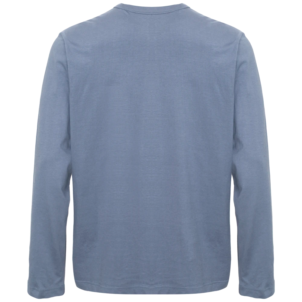 ct1060_cottover-relaxed-t-shirt-longsleeve-gots-141060141060-748-ls-relaxed-dustyblue-back