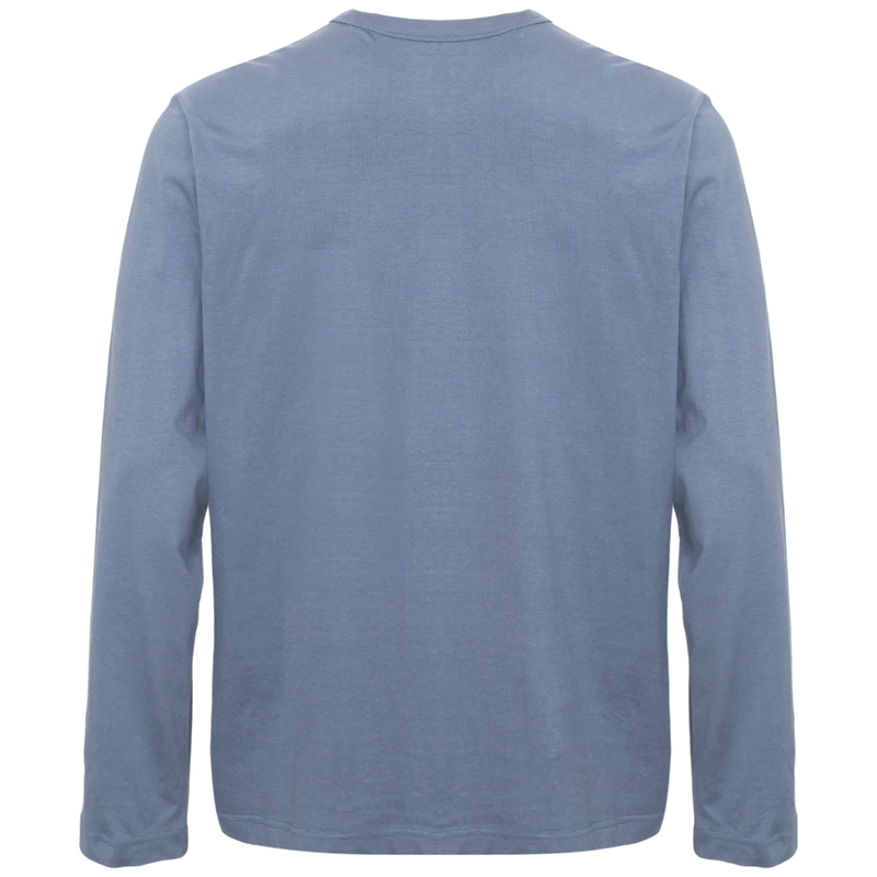 ct1060_cottover-relaxed-t-shirt-longsleeve-gots-141060141060-748-ls-relaxed-dustyblue-back