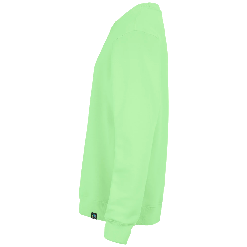 ct1203_cottover-key-crewneck-unisex-sweatshirt-141203141203-625-key-crew-green-left